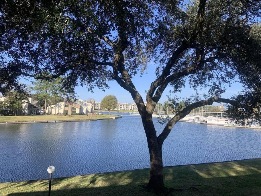 Lakeside Daze! Montgomery Buitenkant foto